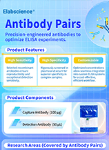 Antibody Pairs Poster (2025)